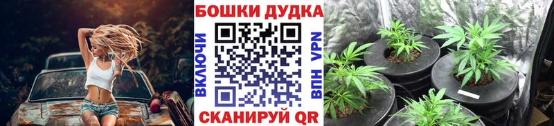 Галлюциногенные грибы Новочебоксарск