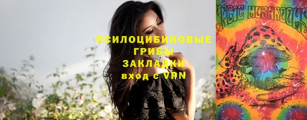 2c-b Надым