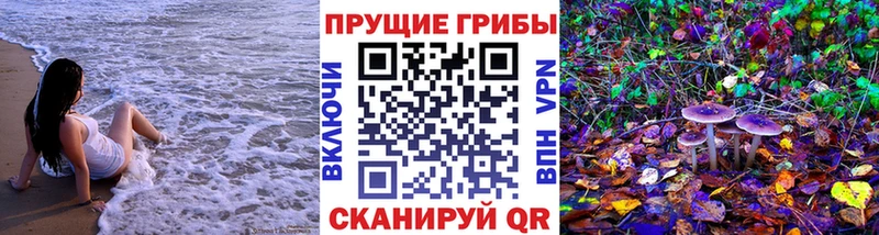 Псилоцибиновые грибы мицелий  нарко площадка как зайти  Новочебоксарск 
